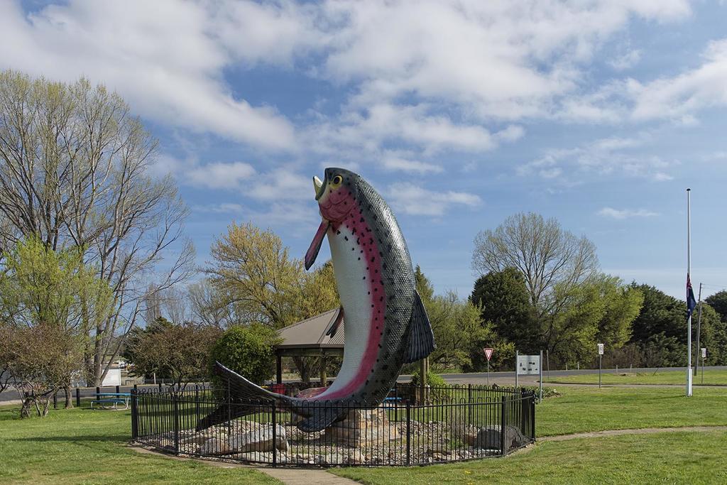 Rainbow Pines Tourist Caravan Park Adaminaby Exterior foto